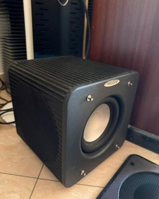 Coppia di Sub velodyne microvee