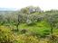 Immagine 11