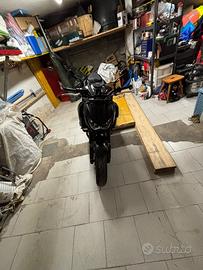 Z800 È-VERSION
