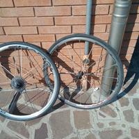 Shamal Ultra Campagnolo