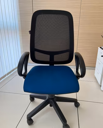 Sedia professionale da ufficio usata