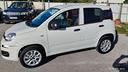 fiat-panda-0-9-twinair-turbo-natural-power-pop-van