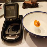 ecoscandaglio Humminbird RF15E smartcast