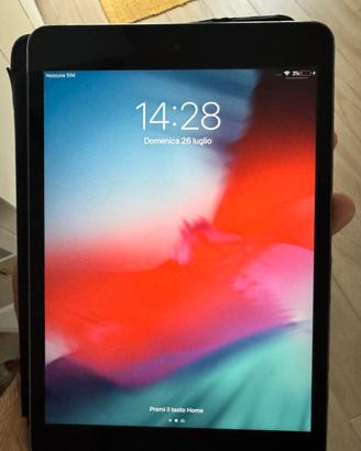 Ipad mini 2