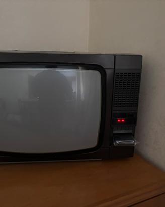 Televisore Seleco