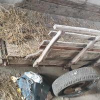 caretto rimorchio piccolo 