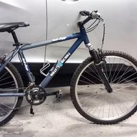 Mountain bike Sintesi