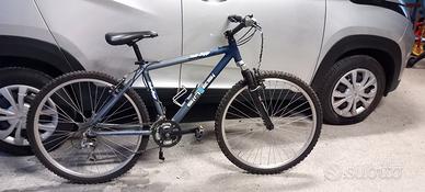 Mountain bike Sintesi