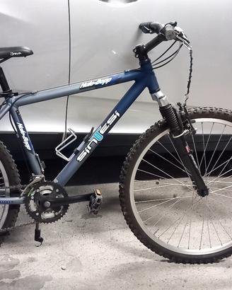 Mountain bike Sintesi