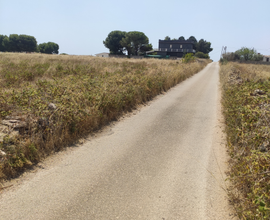 Via strada vecchie Canne Pulsano (TA)