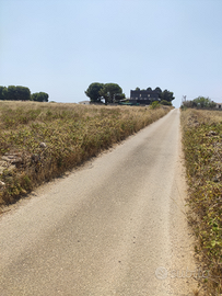 Via strada vecchie Canne Pulsano (TA)