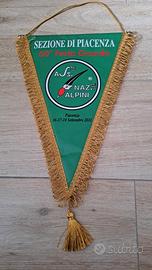 gagliardetto militare Alpini sezione Piacenza