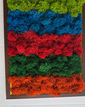 pittura di muschio naturale