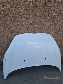 Cofano Ford Fiesta