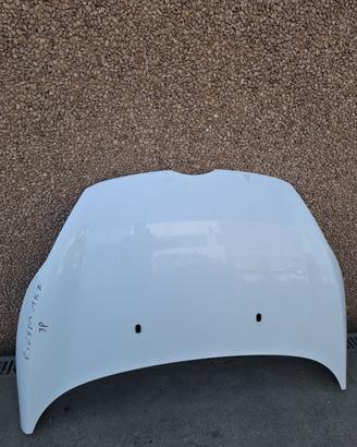 Cofano Ford Fiesta