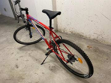 bicicletta tecnobike