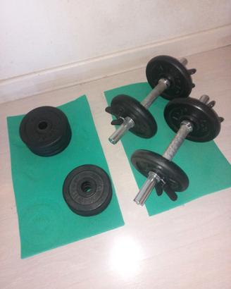 Coppia manubri e pesi palestra