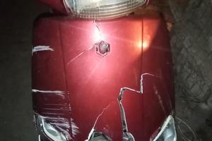 zip piaggio