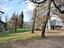 Immagine 10