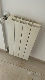 termosifoni 24 elementi