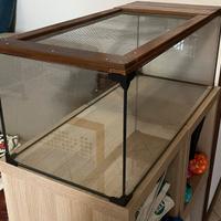 Teca grande in vetro con coperchio ventilato – 50€