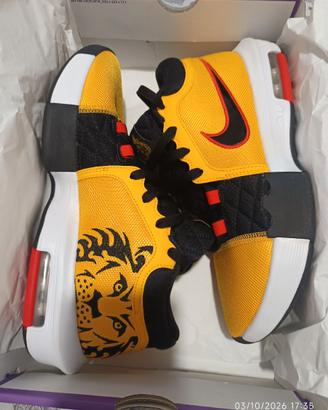 Nike Lebron Witness 8