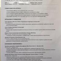 Cameriera, Barista, Operaia, Altro