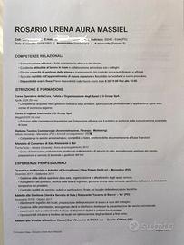 Cameriera, Barista, Operaia, Altro