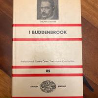I Buddenbrook