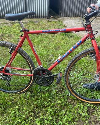 Mountain bike