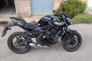 Kawasaki Z650 MY2024