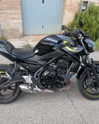 Kawasaki Z650 MY2024