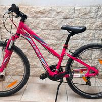 Mtb  bimba specualizaed