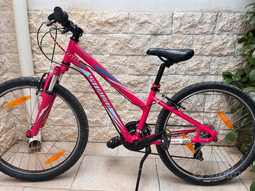 Mtb  bimba specualizaed