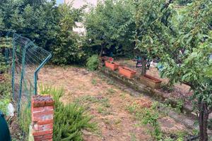 Casa con giardino e cantina