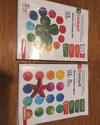 Contaci 1 Ed2 Medie ISBN 9788808921277