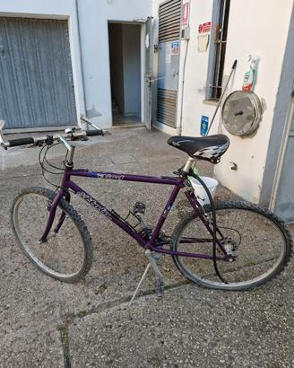 Bicicletta con cambio shimano da ragazzo Atala
