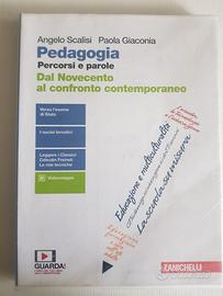 Pedagogia  percorsi e parole