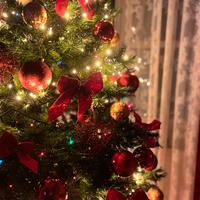 Albero di natale