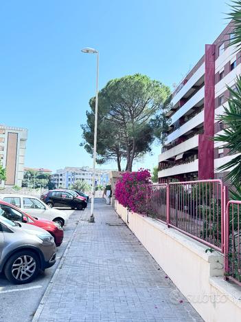 Cagliari zona BrotzuSignorile grande appartamento