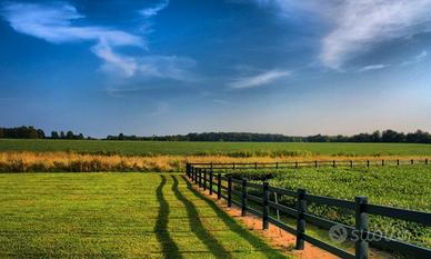 TERRENO AGRICOLO GRATUITO o PREZZO ESIGUO