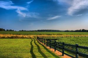 TERRENO AGRICOLO GRATUITO o PREZZO ESIGUO