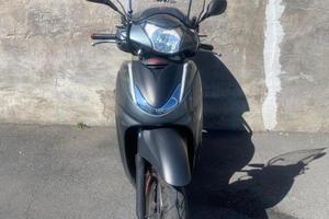 Sh 300 sport