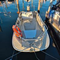 Boston Whaler 15