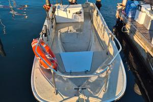 Boston Whaler 15
