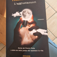 Libro romanzo