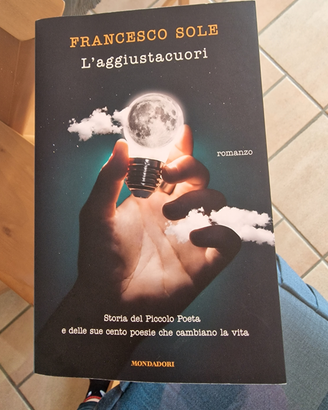 Libro romanzo