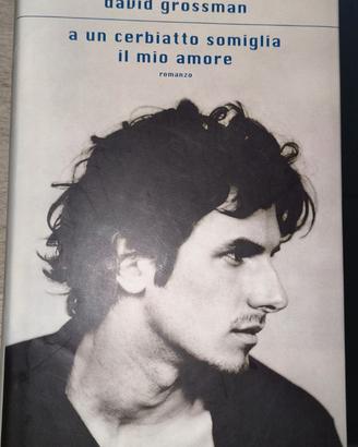 A un cerbiatto somiglia il mio amore - Grossman