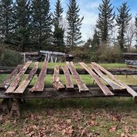 Numero 10 tavoloni di legno grezzo di castagno