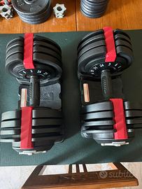 Set manubri palestra regolabili